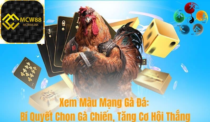 Màu mạng gà đá